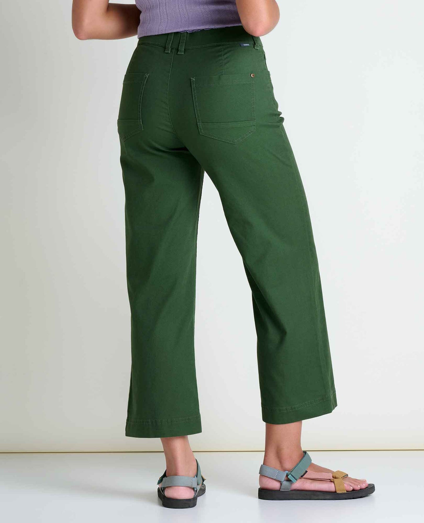TOAD&CO EARTHWORKS WIDE PANT