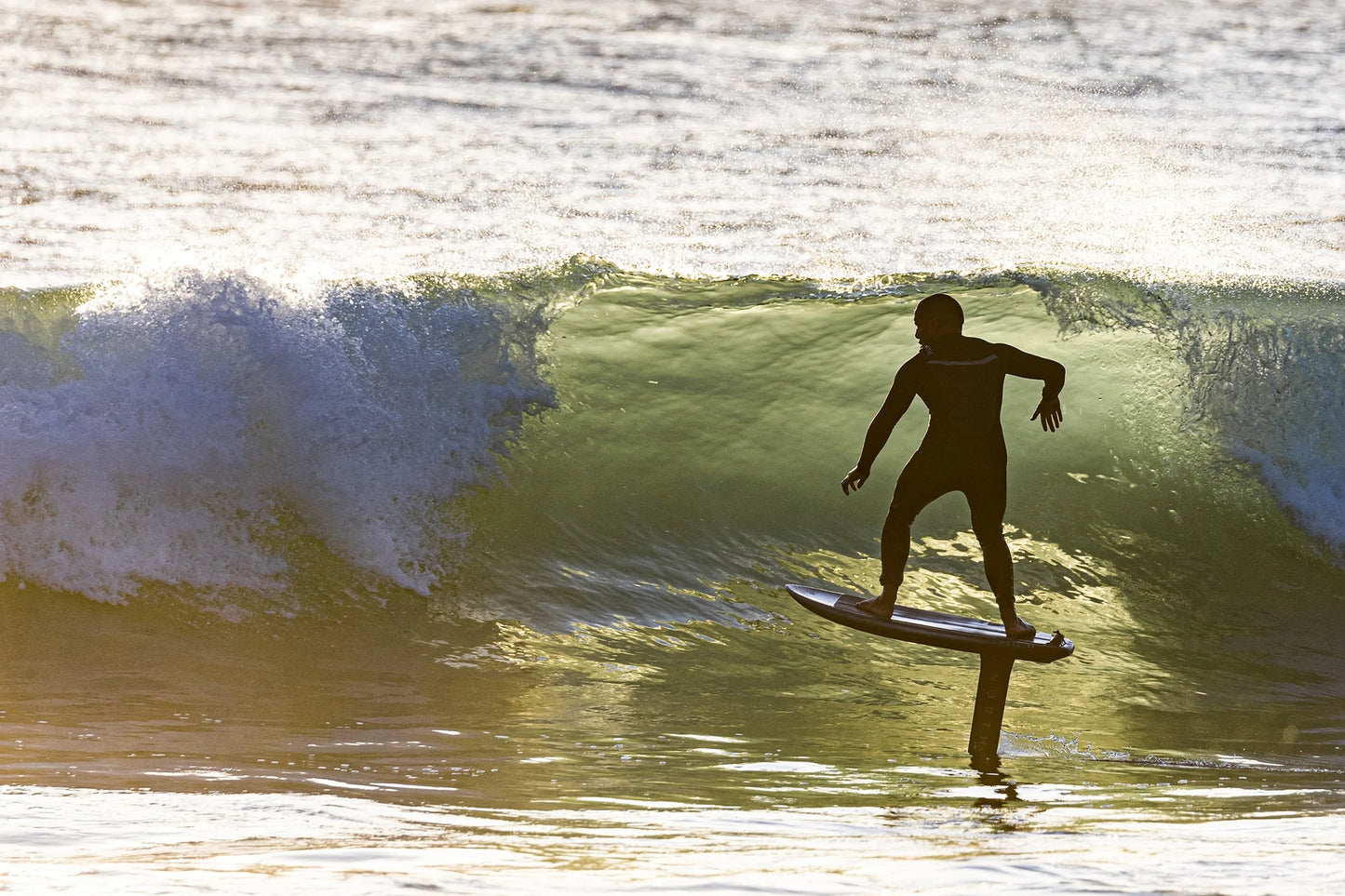 NORTH SONAR FRONT WING HA1450