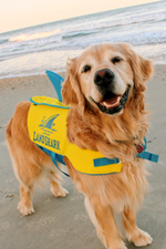LandShark Pet Vest - Cottage Toys Canada - Peterborough - Ontario - Canada